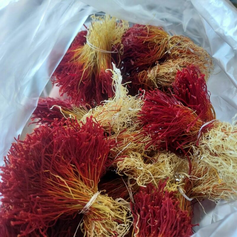 زعفران دسته دختر پیچ اصل، دست‌چین شده توسط کشاورز ایرانی